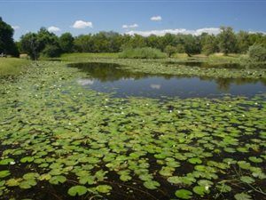 1689 ha Farm in Hoedspruit