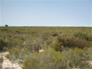 1482 ha Farm in Hopefield