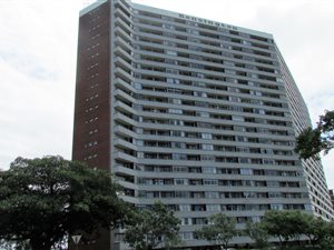 1 Bed Apartment in Morningside