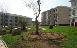 2 Bedroom Apartment in Craigavon