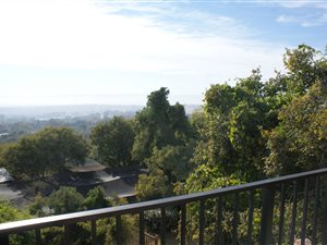 Bachelor apartment in Shere
