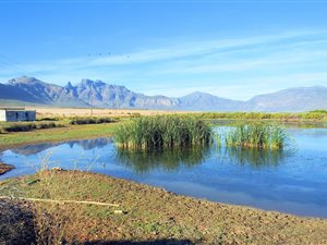 406 ha Farm in Piketberg