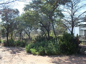 8.5 ha Farm in Rooiberg