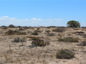 4.3 ha Land available in Long Acres
