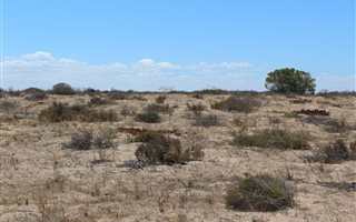 4.3 ha Land available in Long Acres