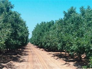 25.6 ha Farm in Hartswater