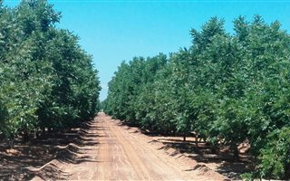 25.6 ha Farm in Hartswater