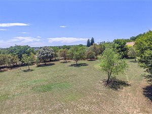 9402 m² Farm in Farmall