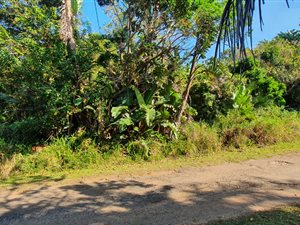 1548 m² Land available in Marina Beach