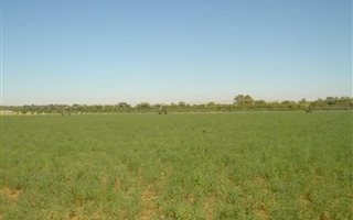 16.7 ha Farm in Jan Kempdorp