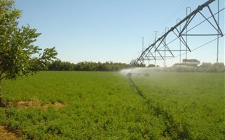 16.7 ha Farm in Jan Kempdorp