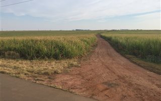 110 ha Farmland in Uvongo