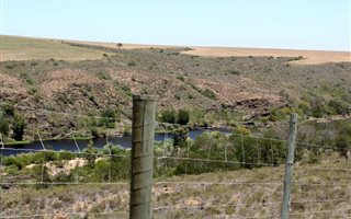 158 ha Farm in Swellendam