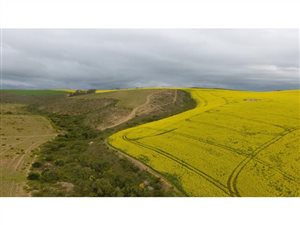 559 ha Farm in Malgas