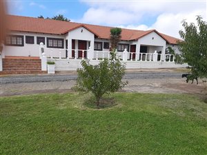 5 ha Farm in Grootvlei
