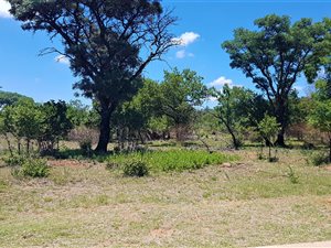 950 m² Land available in Roodeplaat