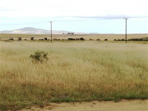 4992 ha Smallholding in Durbanville