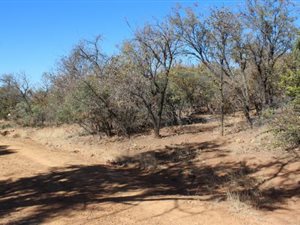 1000 m² Land available in Bela-Bela (Warmbaths)