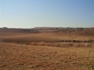 2569 ha Farm in Ermelo