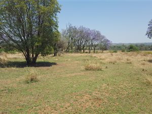 8.9 ha Farm in Grootvlei