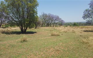 8.9 ha Farm in Grootvlei