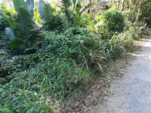 1031 m² Land available in Leisure Bay