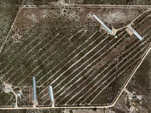 19 ha Farm in Hopefield