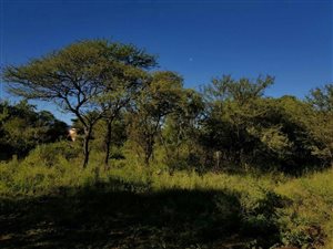 1280 m² Land available in La Camargue