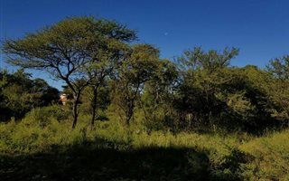 1280 m² Land available in La Camargue