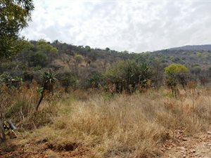 5887 m² Land available in Ohrigstad
