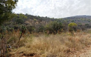 5887 m² Land available in Ohrigstad