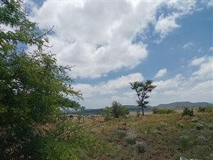 1515 m² Land available in Reservoir Hill