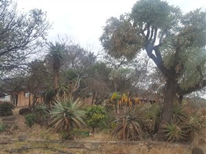 14 ha Farm in Roossenekal