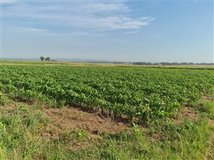 40.9 ha Farm in Riversdale