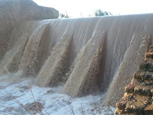 813 ha Farm in Aliwal North