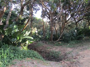 1396 m² Land available in Glenmore