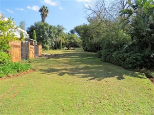 3 Bed Apartment in Lydiana