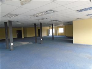 928 m² Industrial space in Pineside
