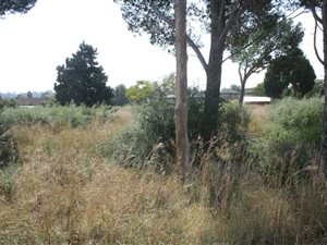 1983 m² Land available in Deneysville