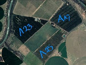 67.6 ha Farm in Jacobsdal