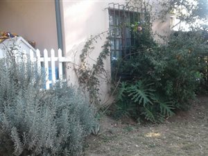 2 Bed Garden Cottage in North Riding AH