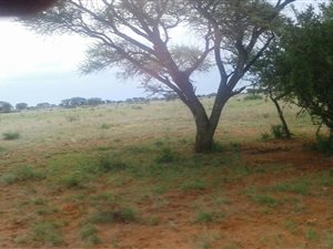2721 ha Farm in Warrenton
