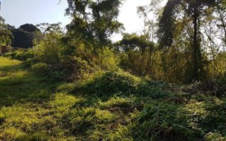 1426 m² Land available in Ashley