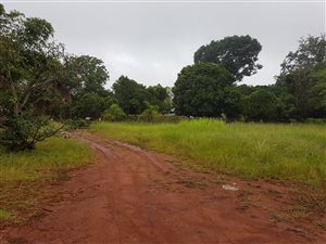 8458 m² Farm in Tzaneen
