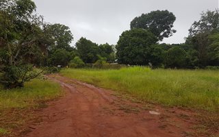 8458 m² Farm in Tzaneen