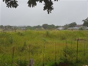 8458 m² Farm in Tzaneen