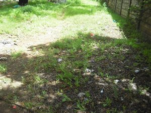 323 m² Land available in Grasslands