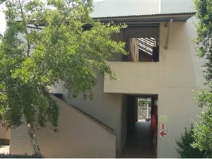 Studio apartment in Glen Austin