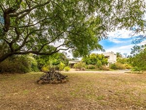 1500 m² Land available in Schoongezicht