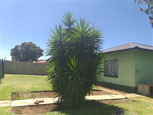 3 Bed House in Sallies Village